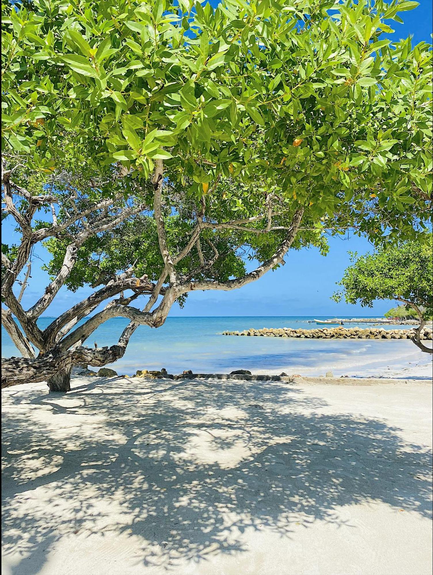 Carey Beach Isla Barú المظهر الخارجي الصورة
